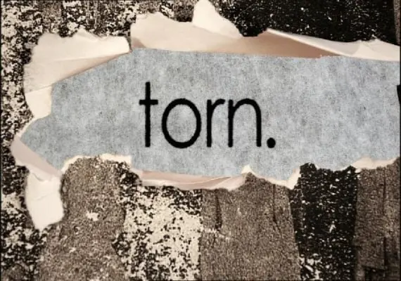 Torn EN/DE/FR/IT/JA/KO/ES — Steam, Standard