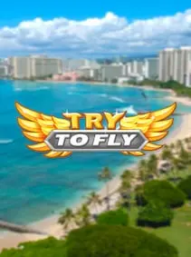 Try to Fly — Steam, Standard