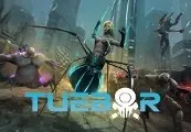 Tuebor: I Will Defend — Steam, Standard