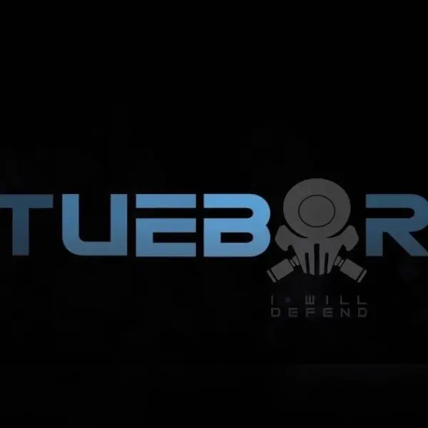 Tuebor: I Will Defend — Steam, Standard