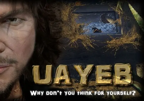 UAYEB EN — Steam, Standard