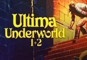 Ultima Underworld 1+2 — GOG, Standard
