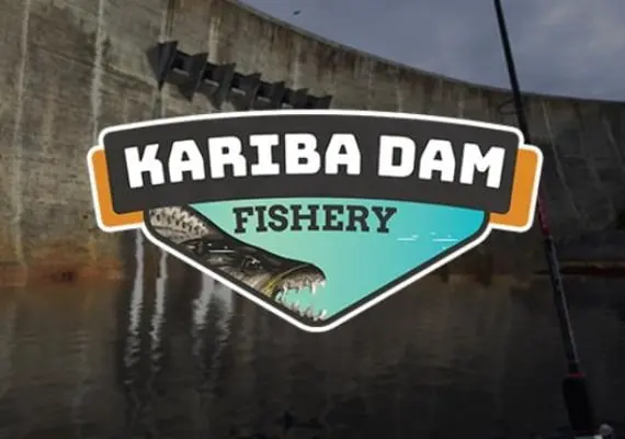 Ultimate Fishing Simulator - Kariba Dam DLC — Steam, Standard