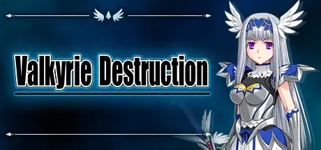 Valkyrie Destruction — Steam, Standard