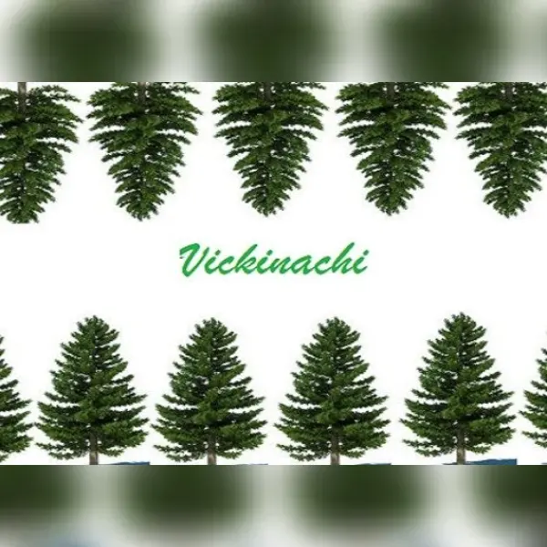 Vickinachi — Steam, Standard
