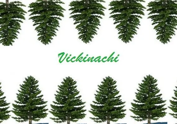 Vickinachi EN — Steam, Standard