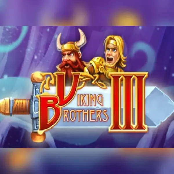 Viking Brothers 3 — Steam, Standard