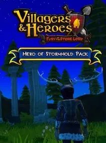 Villagers and Heroes: Hero of Stormhold Pack — Steam, Standard