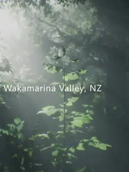 Wakamarina Valley, New Zealand — Steam, Standard