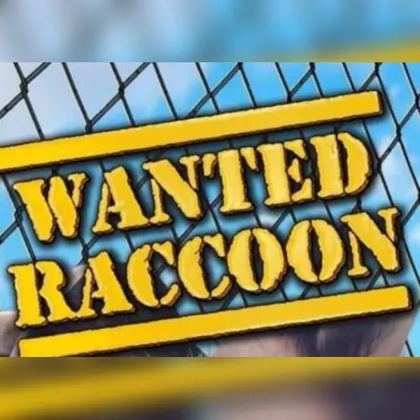Wanted Raccoon — Steam, Standard