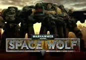 Warhammer 40,000: Space Wolf + Exceptional Card Pack DLC — Steam, Standard