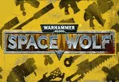 Warhammer 40,000: Space Wolf - Exceptional Card Pack DLC — Steam, Standard