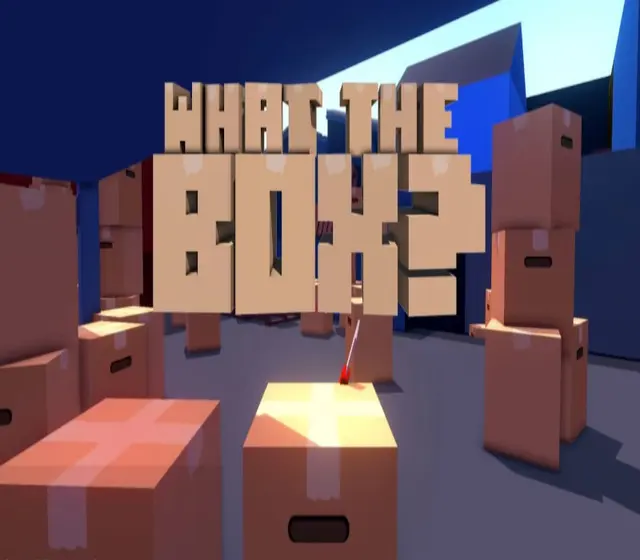 What The Box? — Steam, Standard