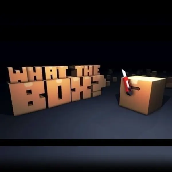 What The Box? — Steam, Standard