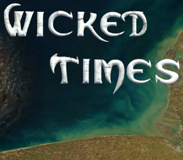 Wicked Times — Steam, Standard