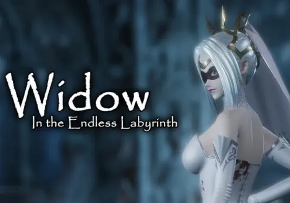 Widow in the Endless Labyrinth — Steam, Standard