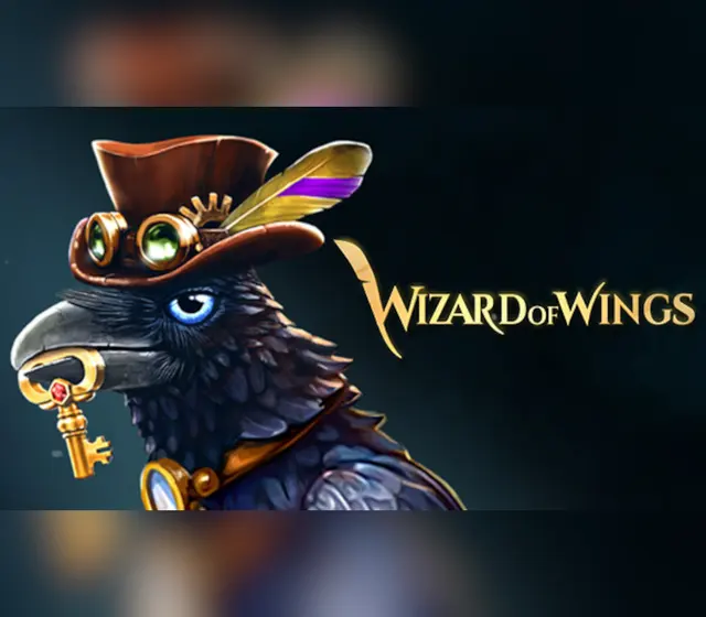 Wizard of Wings: Escape — Steam, Standard