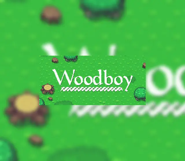 Woodboy — Steam, Standard
