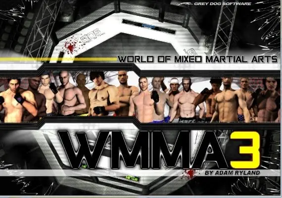 World of Mixed Martial Arts 3 — Steam, Standard