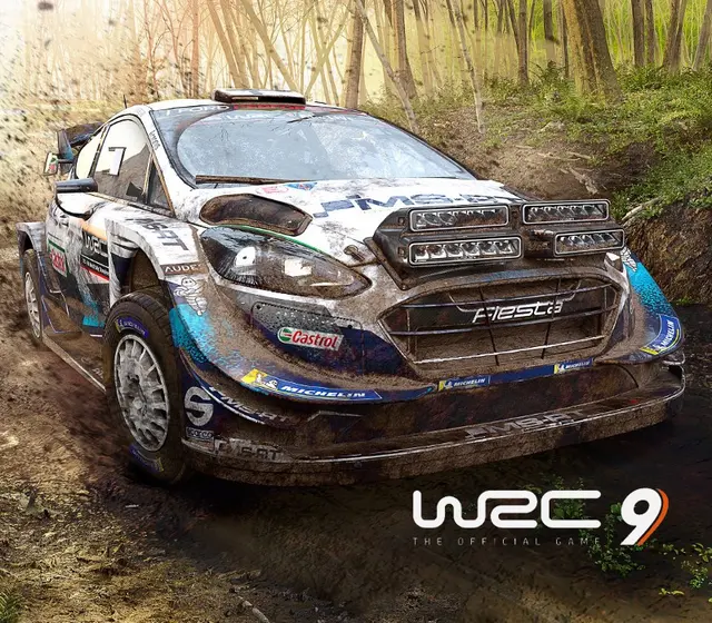 WRC 9 FIA World Rally Championship — Epic Games, Standard