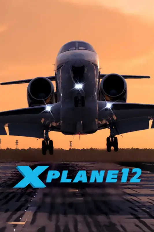 X-Plane 12 — Steam, Standard