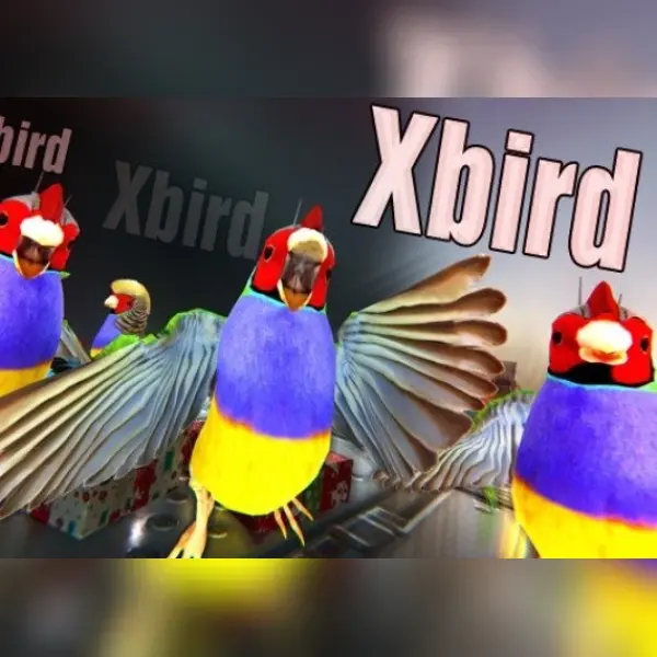 Xbird — Steam, Standard