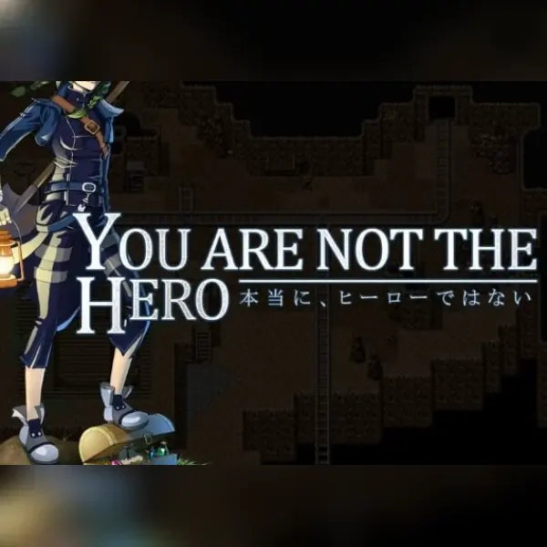 You Are Not The Hero — Steam, Standard