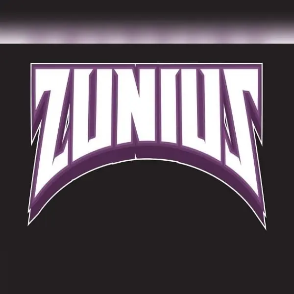 Zunius — Steam, Standard